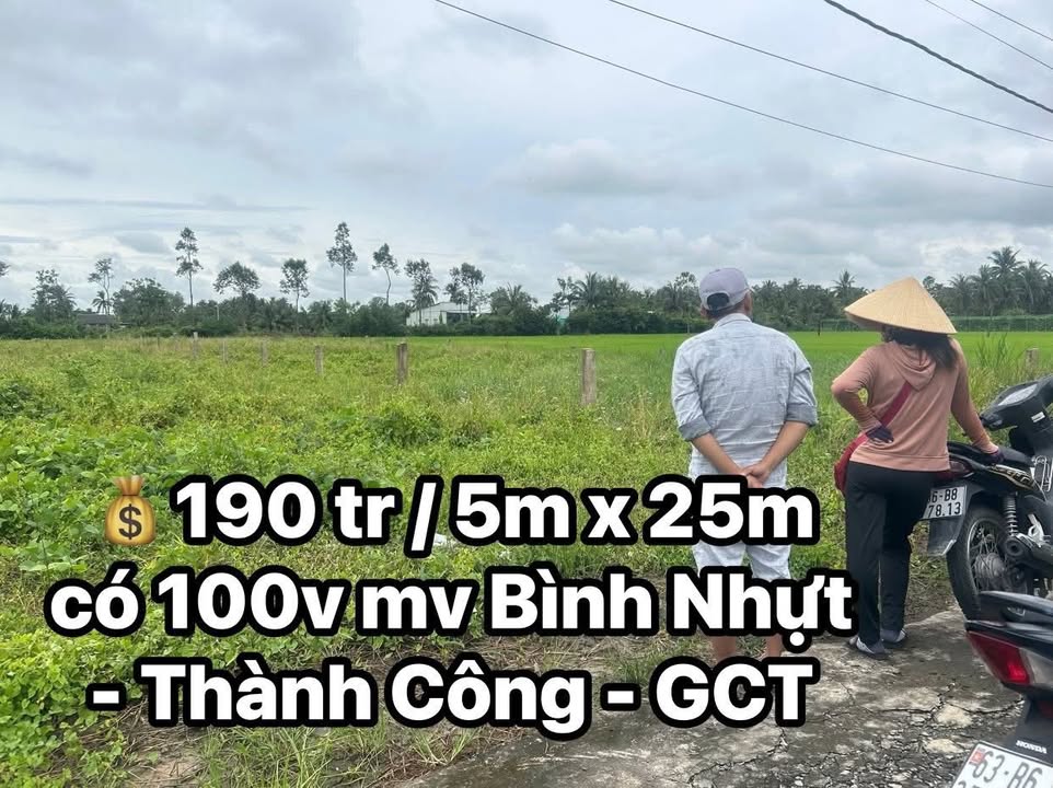 Đất nền 125m² tại Ấp Bình Nhựt, Gò Công Tây chỉ 190 triệu - Đầu tư sinh lời ngay!