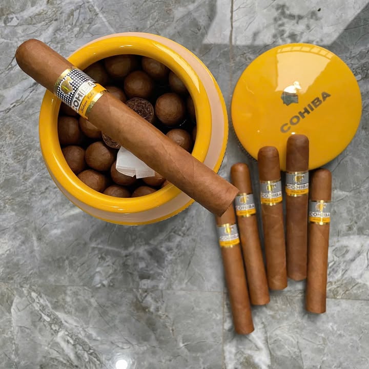 Đất nền KĐT Bắc Quang Châu 200m² giá 8 tỷ - Đầu tư sinh lời ngay!