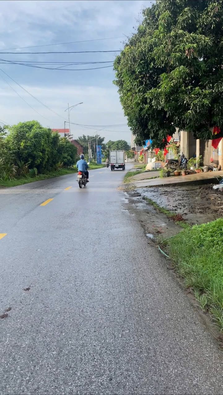 Đất mặt đường TL299, Nam Phú, Xuân Phú, Yên Dũng 150m² - Kinh doanh đắc địa!