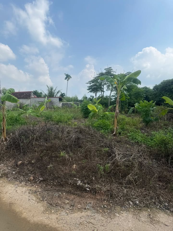 Đất nền chính chủ tại Chu Điện, Lục Nam 269m² giá chỉ 1 tỷ - Đầu tư sinh lời ngay!