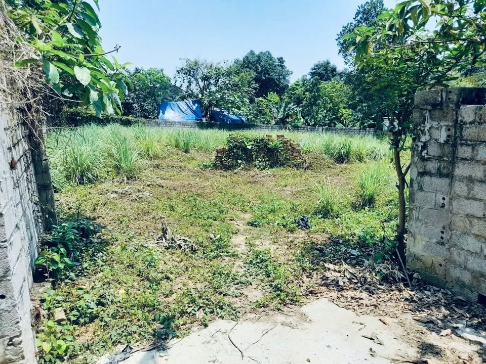 Đất nền Yên Bài, Ba Vì 1360m² - Giao thông thuận tiện, giá hợp lý!