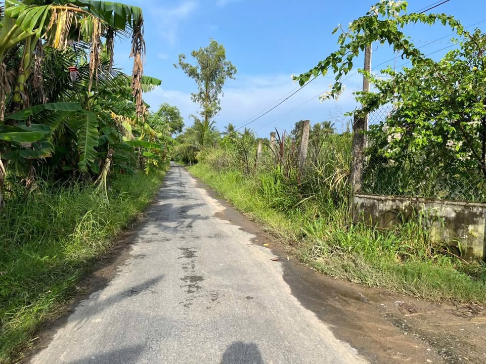 Đất thổ cư mặt tiền bờ kênh Trà Vinh 845m² giá 600 triệu - Đầu tư sinh lời!