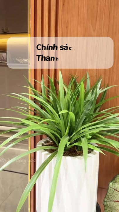 Căn hộ Cara River Park Cần Thơ 78m² giá 820 triệu - Sở hữu ngay giữa trung tâm!