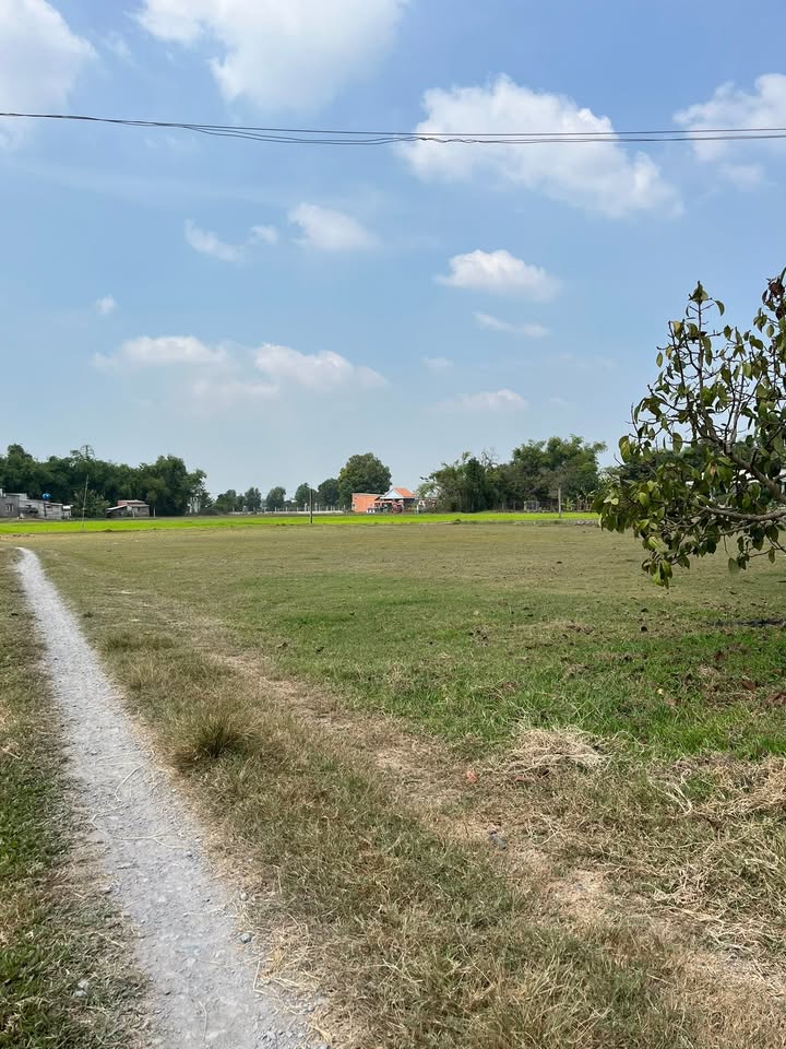 Đất nền đường Láng Cẩm, Đức Hòa, Long An 2348m² giá 11.74 tỷ - Đầu tư sinh lời ngay!