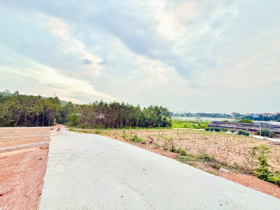 Đất nền khu phố Quỳnh Sơn, phường Tân An 500m² - View hồ nghỉ dưỡng tuyệt đẹp!