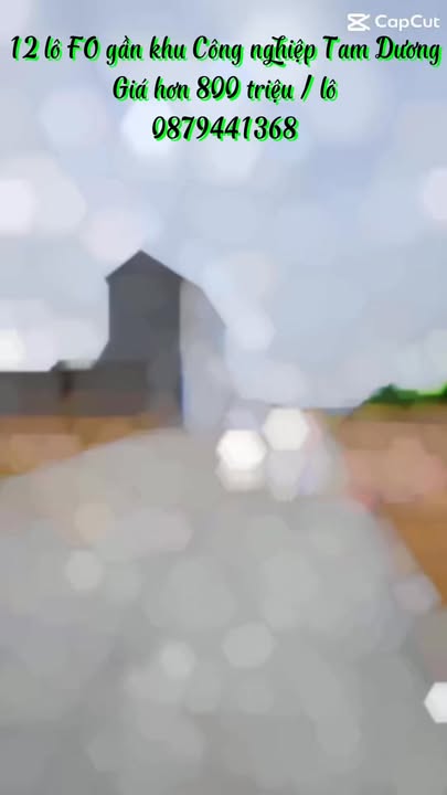 Đất dự án KCN Tam Dương, Vĩnh Phúc - Diện tích từ 105m² chỉ từ 800 triệu!