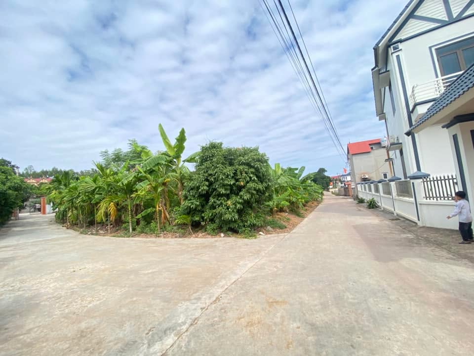 Đất nền Tân Dĩnh, Lạng Giang 1300m² - Lô góc 2 mặt tiền, giá tốt!