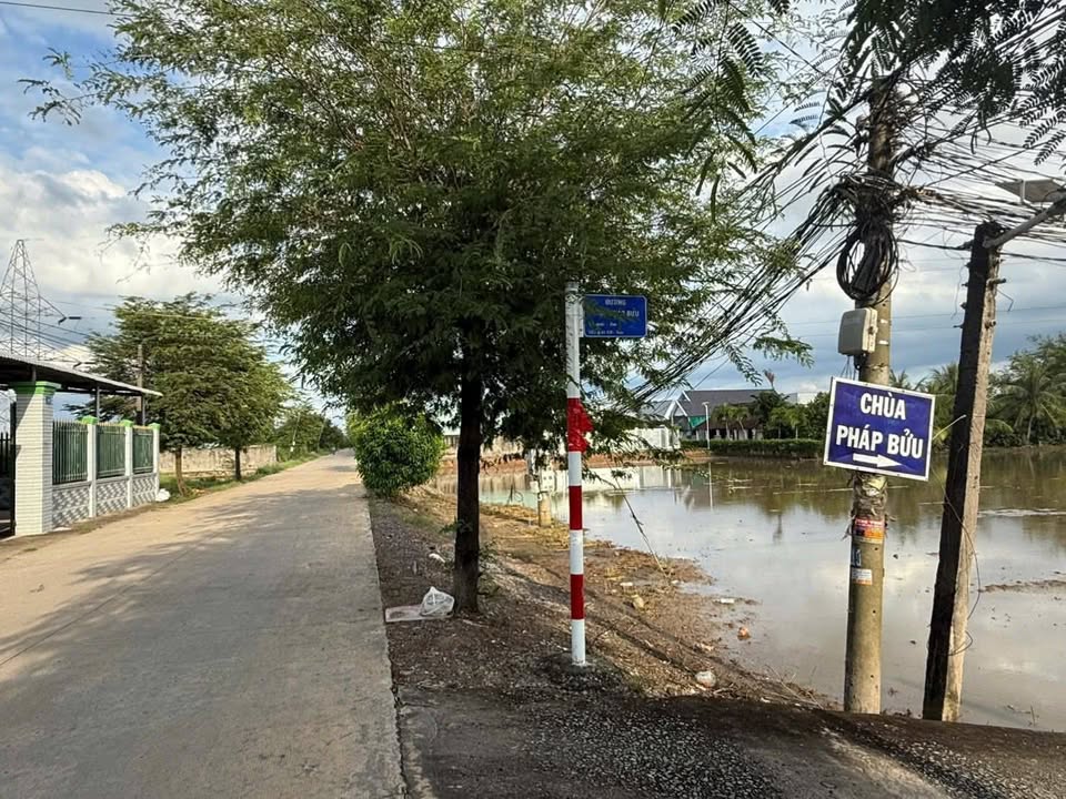 Đất Lúa Mặt Tiền Đường Chùa Pháp Bửu, Cần Giuộc 1.774m² - Giá 1.5 tỷ, Sổ Đỏ Chính Chủ!