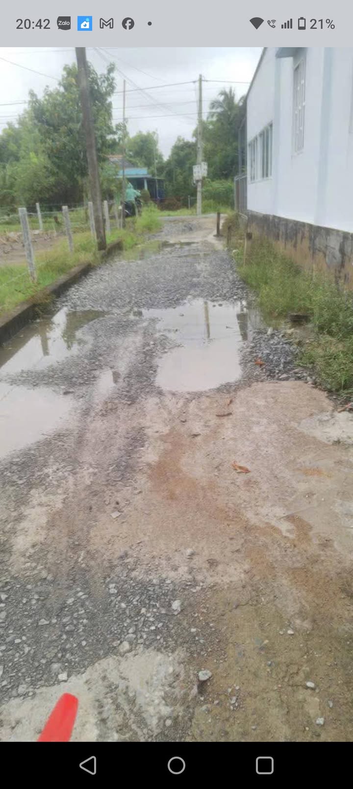 Đất nền ấp Phú Thạnh, xã Long Phụng, huyện Cần Giuộc, 9039m² giá 1.148 tỷ - Đường xe hơi vào tận nơi!