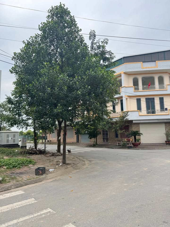 Đất nền Phương Vỹ, Trần Đăng Tuyển 77.4m² giá 6 tỷ - Vị trí đắc địa cho an cư