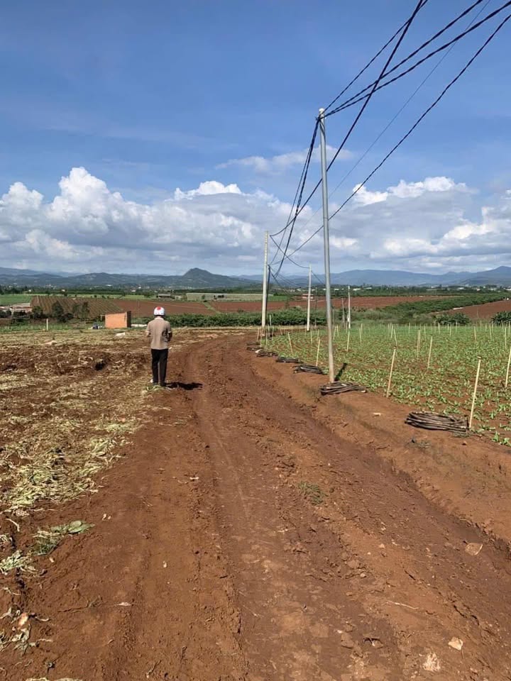 Đất nền Tân Hội 70.000m² giá 4.5 tỷ - Cơ hội đầu tư tuyệt vời!