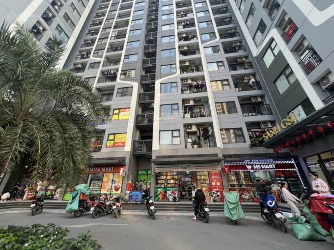 Shophouse An Khánh Hoài Đức 55m² giá thỏa thuận - Đầu tư sinh lời ngay!