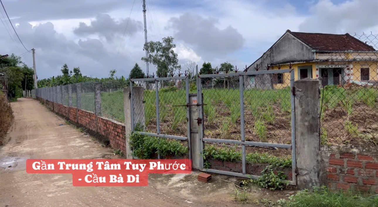 Đất nền Tuy Phước 100m² giá chỉ từ 300 triệu - Cơ hội đầu tư lý tưởng!