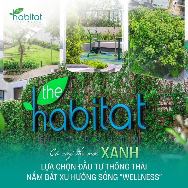 Căn hộ The Habitat Dĩ An 54m² giá 2.1 tỷ - Sở hữu ngay không cần vay ngân hàng!