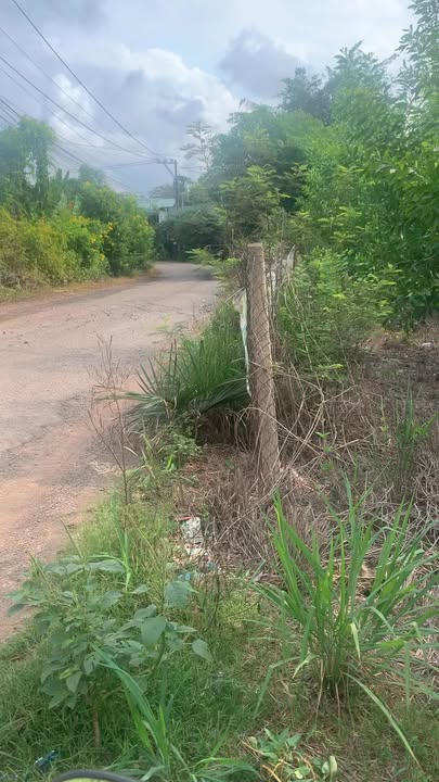 Đất nền mặt tiền đường nhựa Cây Gáo 1,06 ha giá chỉ 9 tỷ - Cơ hội đầu tư tuyệt vời!