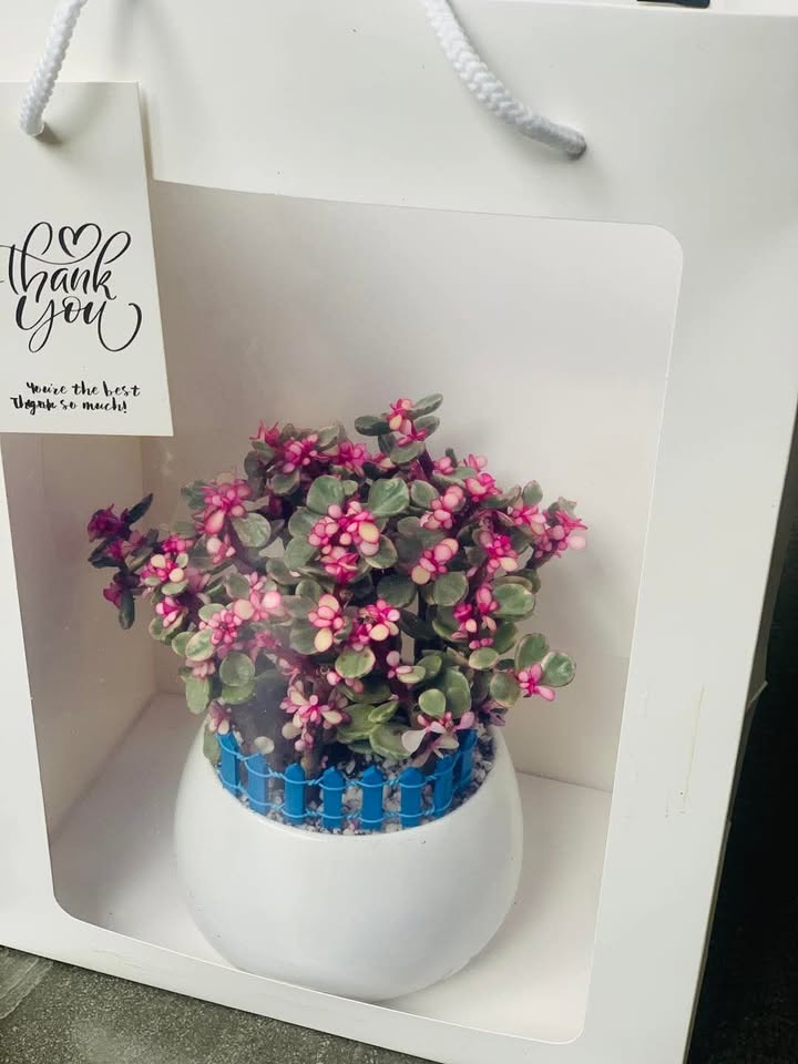 Nhà cho thuê 3 tầng mặt tiền đường Ngô Quyền 150m² giá 20 triệu - Địa điểm lý tưởng tại Đà Nẵng!