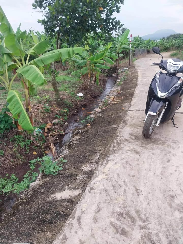 Đất nền Gia Kiệm, Đồng Nai 18.000m² giá 520 triệu - Đầu tư sinh lời ngay!