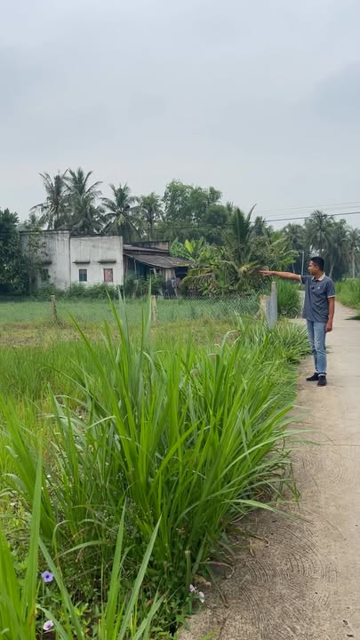 Đất nền liền kề 246m² tại Vĩnh Hựu, Gò Công Tây - Giá Thỏa Thuận