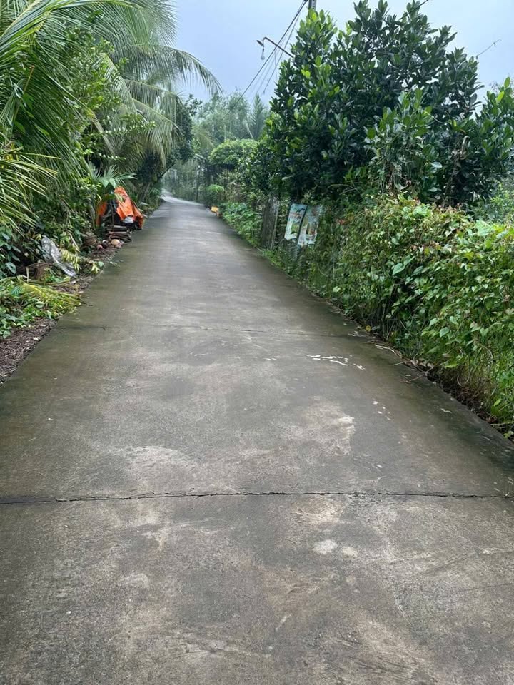 Đất CLN 375m² tại Phường Cai Lậy, Tiền Giang - Giá cực tốt chỉ 1.575 tỷ!