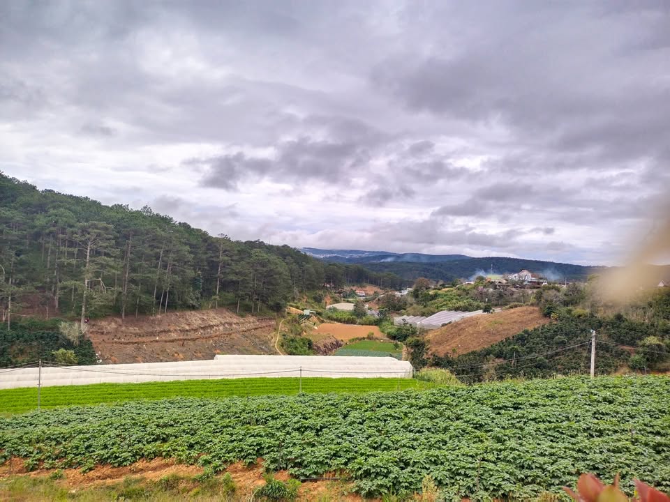 Đất nền Xuân Thọ Đà Lạt 2050m² giá 4 tỷ - Đường ô tô tận nơi, view đẹp!