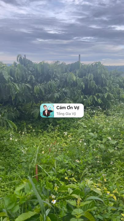 Đất nền Nâm N'Jang 130m² giá 2.5 tỷ - Tiềm năng đầu tư vượt trội!