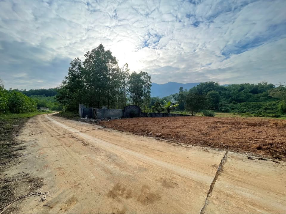 Đất nền Tân Hòa, Phú Thọ 500m² giá 1.1 tỷ - Cơ hội đầu tư lý tưởng!