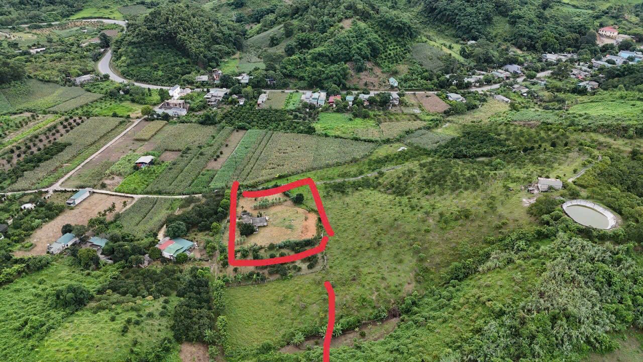 Đất nghỉ dưỡng tại xã Thu Phong, Cao Phong, Hoà Bình 3115m² - Đầu tư tiềm năng gần suối khoáng!