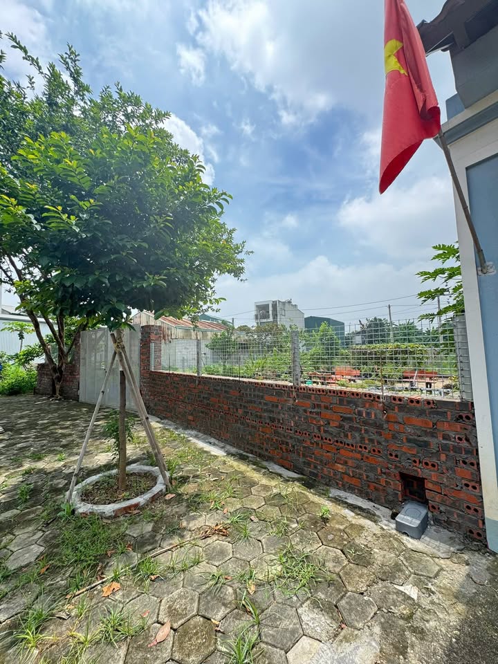 Biệt thự VIP khu Đồi Măng Thanh Miếu 211m² - Đất đẹp nở hậu, giá thỏa thuận!