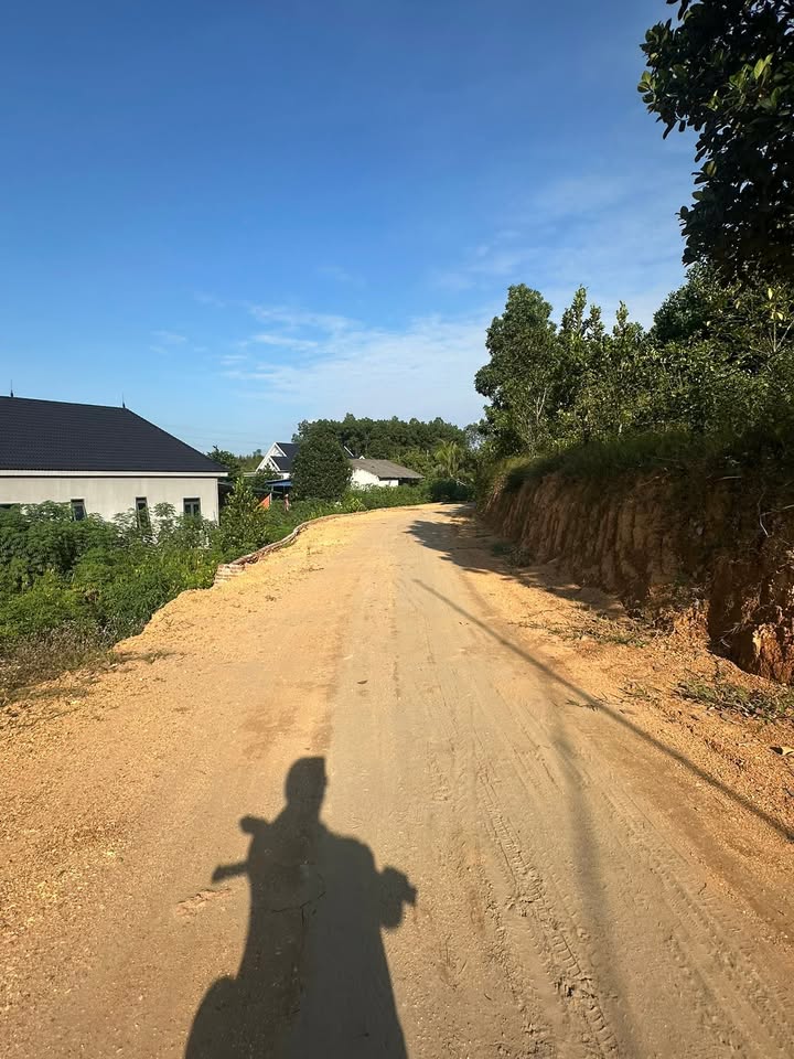 Đất nền Phú Hộ 100m² giá 600 triệu - Đầu tư sinh lời ngay!