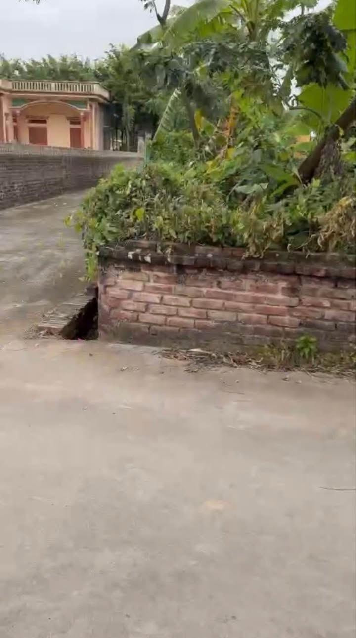 Đất nền lô góc Minh Tân, Lương Tài, Bắc Ninh 89m² - Vị trí đẹp, giá tốt!