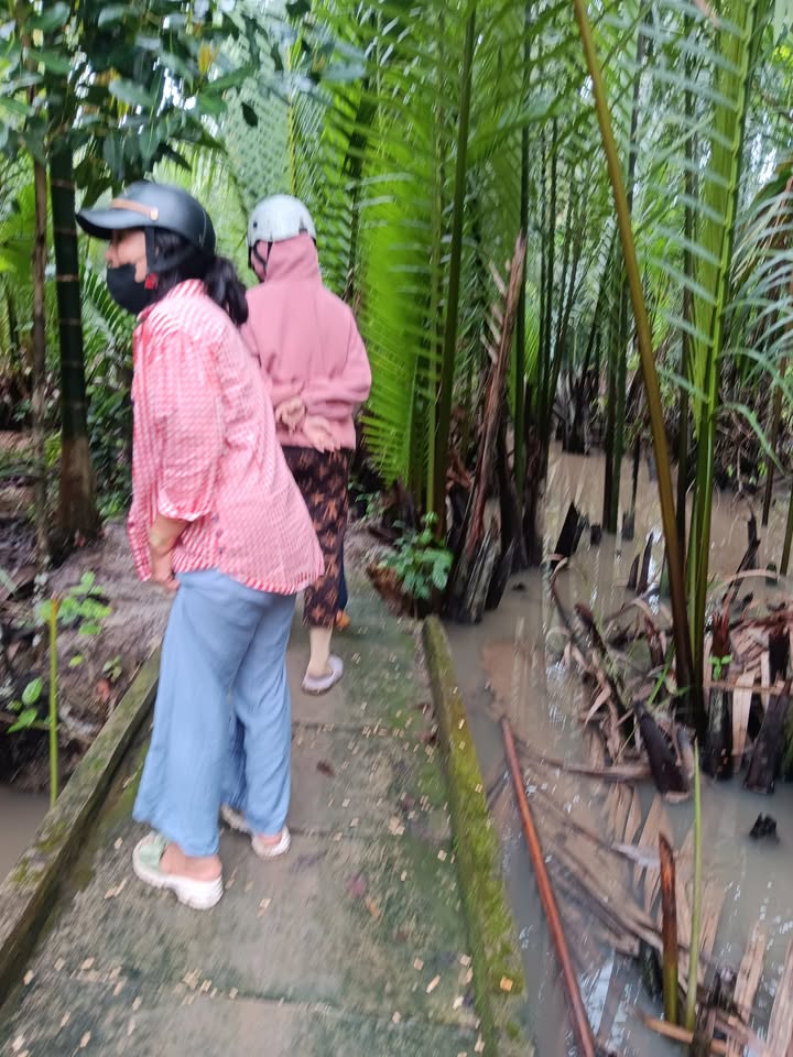 Đất nền Long Mỹ Giồng Trôm 1500m² giá 350 triệu - Đầu tư sinh lời ngay!