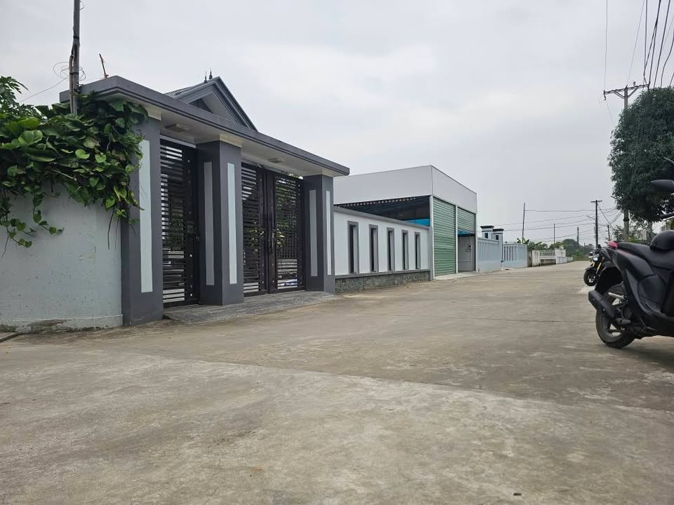 Đất liền kề Quảng Phú, Thanh Hóa 85m² giá 1 tỷ - Cơ hội đầu tư sinh lời!