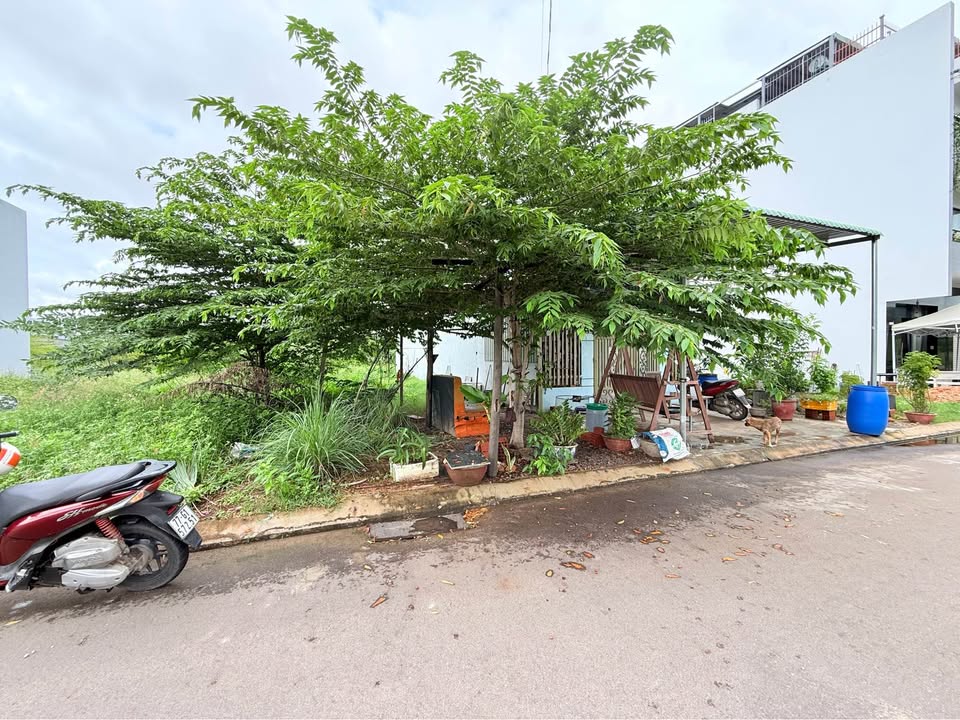 Đất nền tại phường Quy Nhơn Bắc 82.8m² giá 2.2 tỷ - Cơ hội đầu tư tuyệt vời!