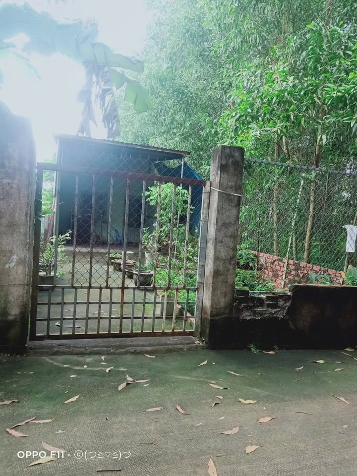 Nhà cấp 4 khu phố 7 An Phước 205m² giá 1.25 tỷ - Sổ đỏ chính chủ!