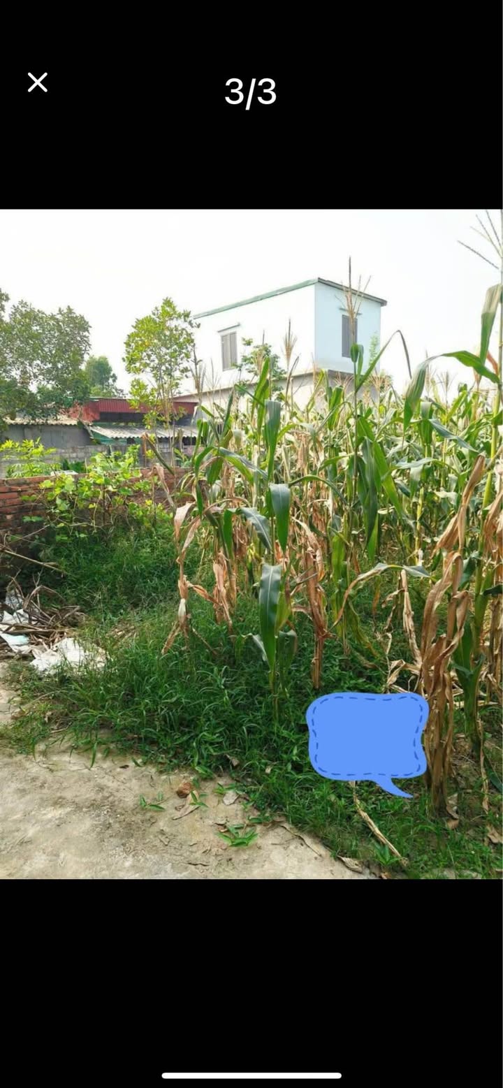 Đất nền Châu Sơn, Quỳnh Phụ 190m² giá chỉ 500 triệu - Pháp lý rõ ràng!