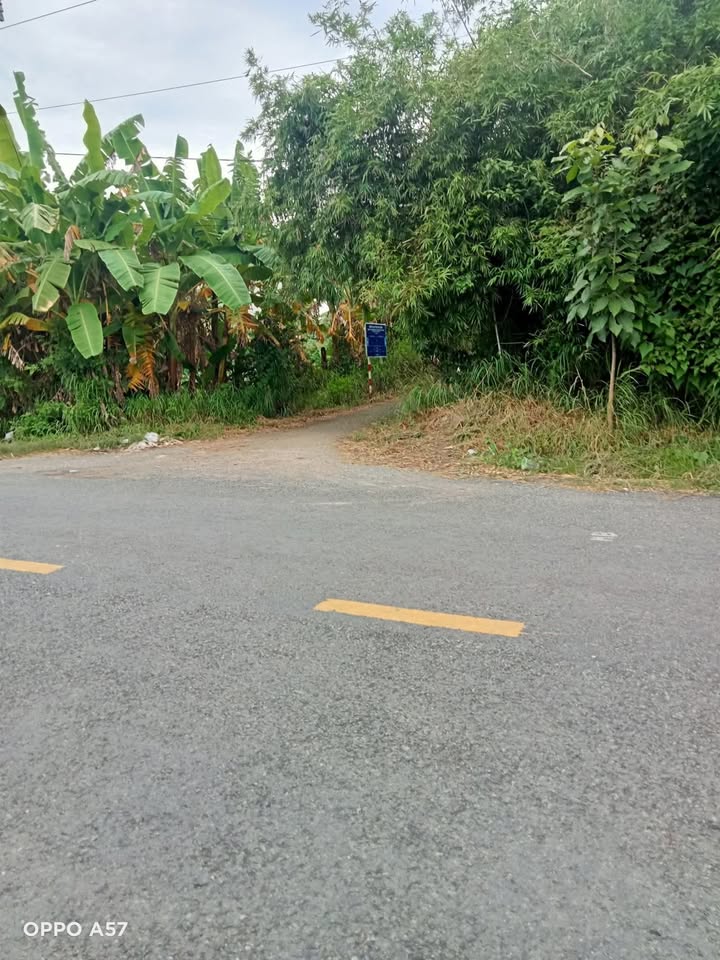 Đất mặt tiền đường Bắc Nam, Thạnh Trị, Bến Tre 940m² giá 131.6 tỷ - Tiềm năng kinh doanh lớn!