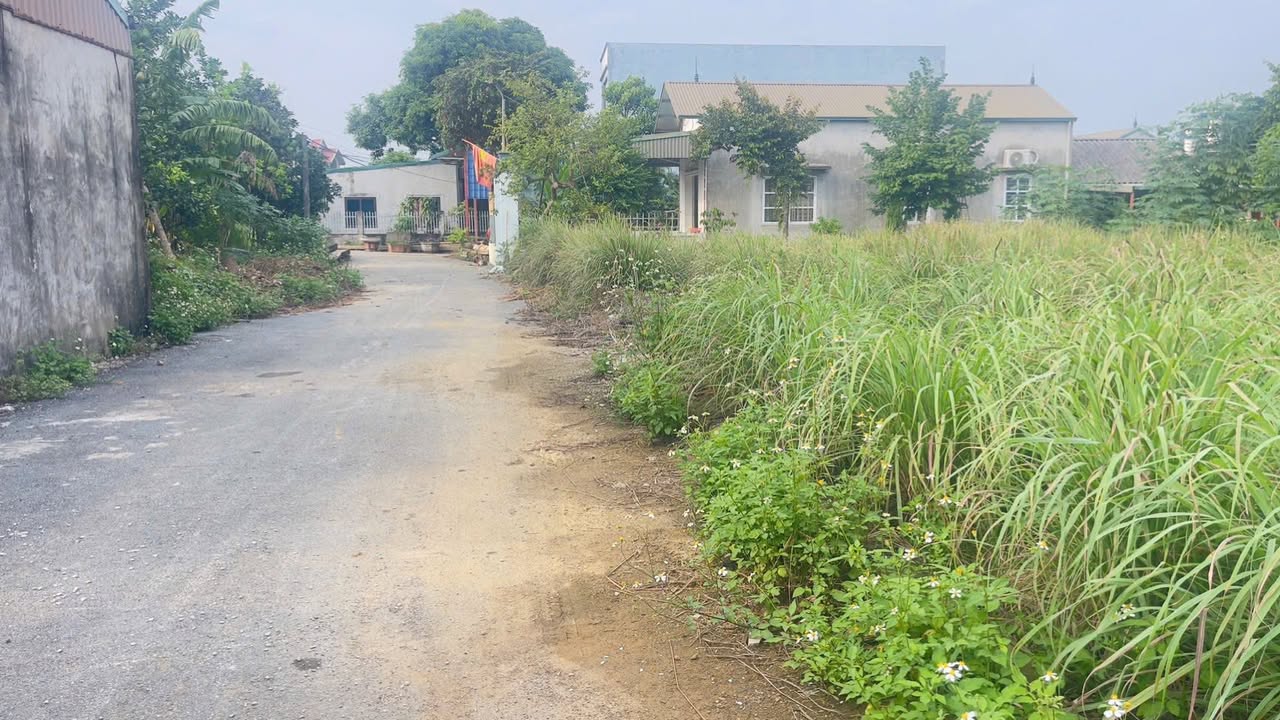 Đất nền Phú Cát, Quốc Oai, Hà Nội 185m² - Lô góc 2 mặt tiền, giá thỏa thuận!