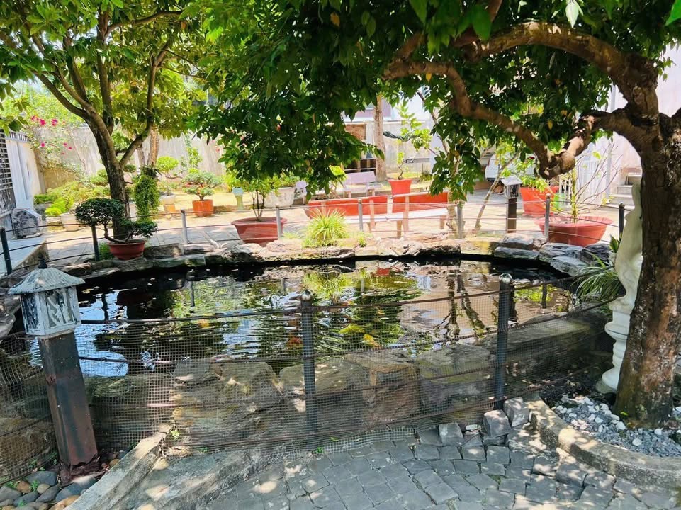 Biệt thự sang trọng Đảo Xanh 850m² giá 130 tỷ - Sẵn sàng giao dịch!