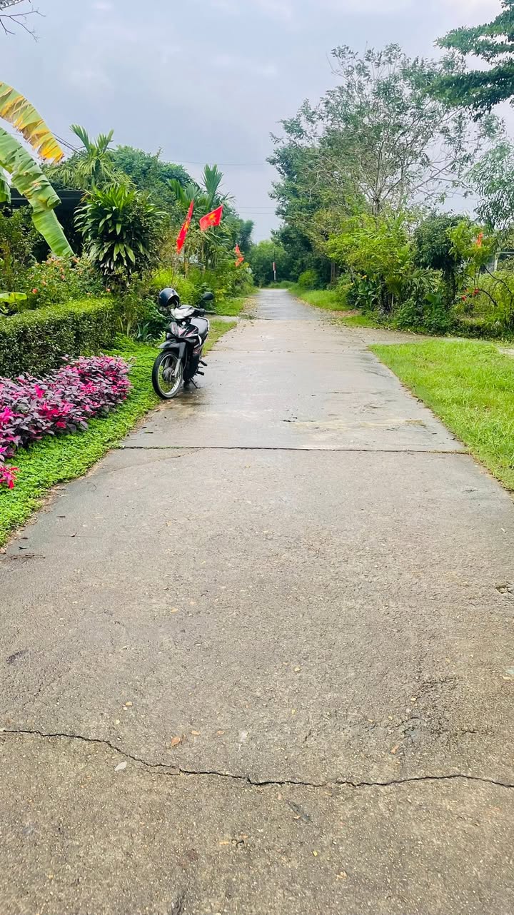 Đất nền Hải Phú - Hải Lăng 144m² giá 400 triệu - Đất cao ráo, mặt tiền đường 5,5m