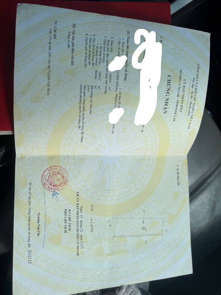 Đất Cư Dliê M'nông 7200m² giá 3.95 tỷ - Nguồn thu ổn định từ cà phê