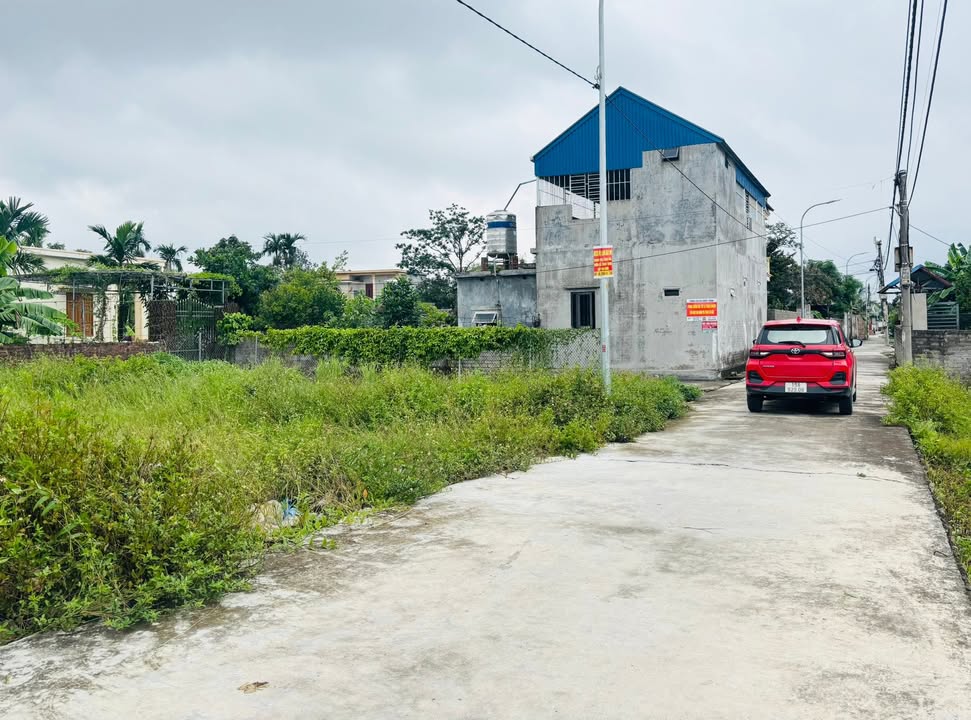 Đất nền Quốc Tuấn An Lão 65m² giá 920 triệu - Cơ hội đầu tư tuyệt vời!