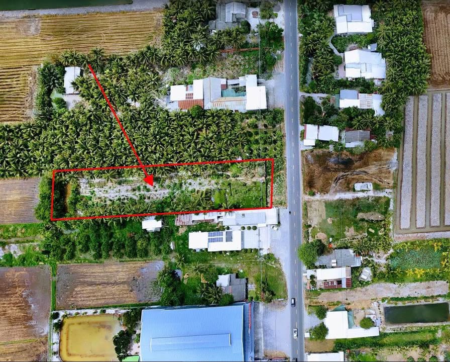 Đất mặt tiền Quốc lộ 53, xã Hòa Thạnh, huyện Tam Bình, 2863m² - Cơ hội đầu tư tuyệt vời!