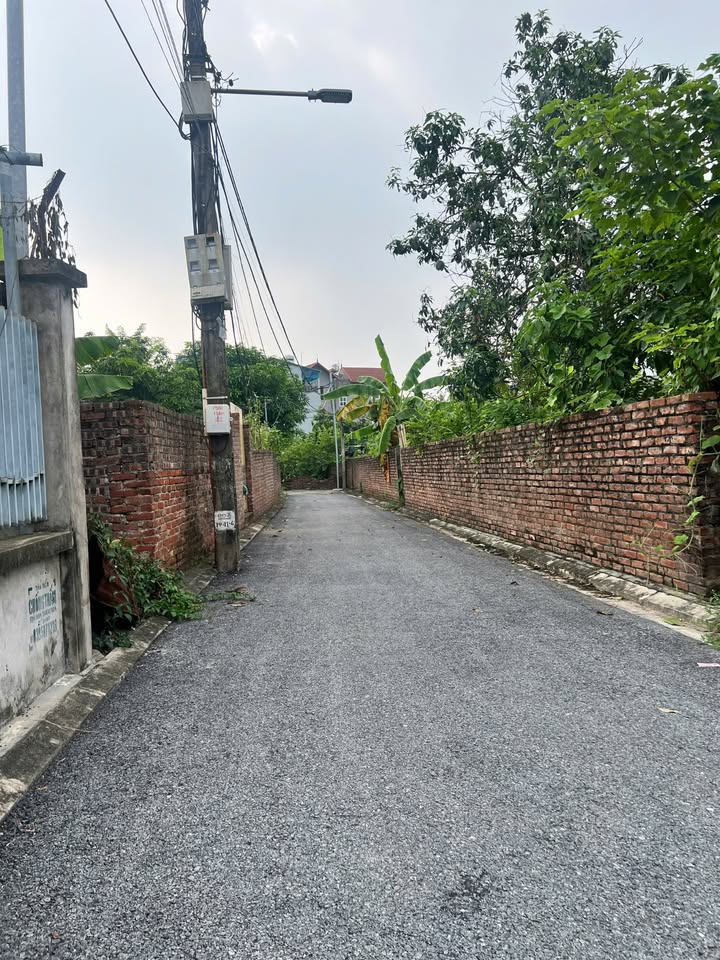 Đất Đa Tốn, Gia Lâm 53m² giá chỉ 4 tỷ - Mặt tiền 4m ô tô đỗ cửa!