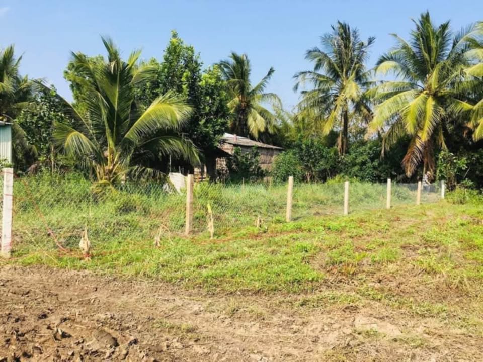 Đất nông nghiệp Mỹ Hòa, Ba Tri 5,4 công giá 702 triệu - Tiềm năng sinh lời cao!