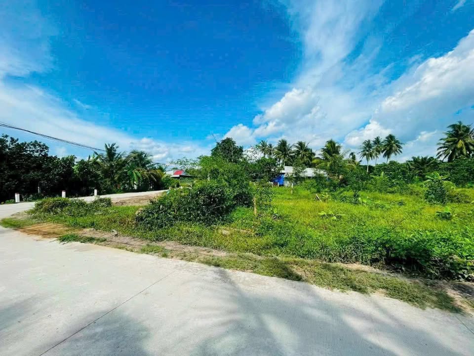 Đất 2 mặt tiền xã Tam Phước, Châu Thành 3085m² - Thích hợp xây biệt thự nghỉ dưỡng!