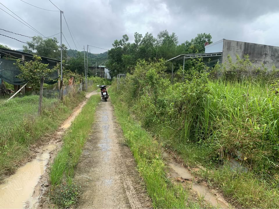 Đất nền Đạ Huoai Lâm Đồng 2400m² - Sổ đỏ chính chủ, giá thỏa thuận!