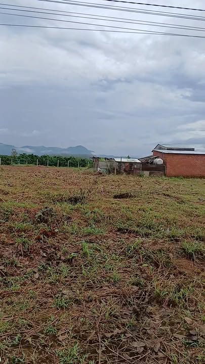 Đất nền đường quy hoạch số 10, xã Đắk Hring, huyện Đắk Hà, 294m² - Giá chỉ 400 triệu!