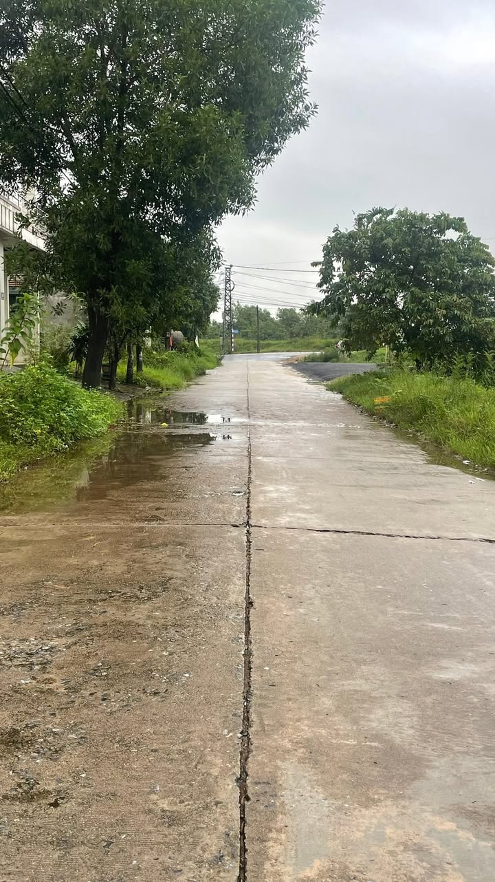 Mặt tiền FrontHouse Trần Phú, TX. Quảng Trị 144m² - Vị trí kinh doanh đắc địa!