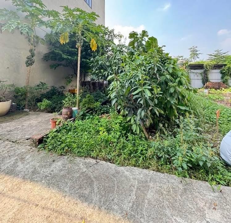 Đất phân lô Đặng Xá, Gia Lâm 42m² giá 3 tỷ - Tiềm năng sinh lời cao!