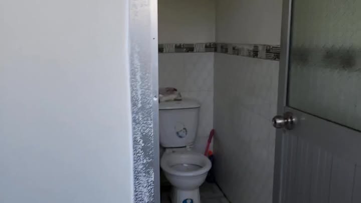 Nhà cấp 4 mặt tiền đường nhựa Tân Hải, Phú Mỹ 168m² giá 3 tỷ - Thương lượng ngay!